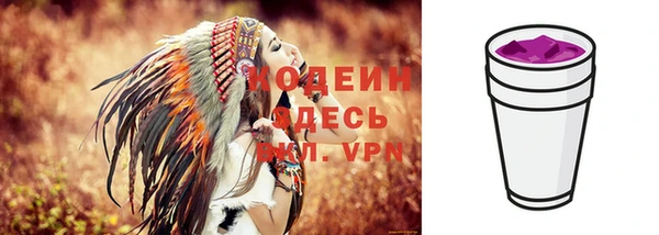 эйфоретик Богданович