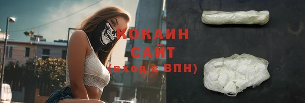 эйфоретик Богданович