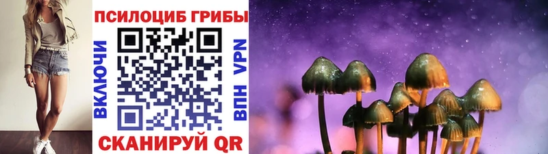 Галлюциногенные грибы Magic Shrooms  mega зеркало  Наро-Фоминск  где найти  