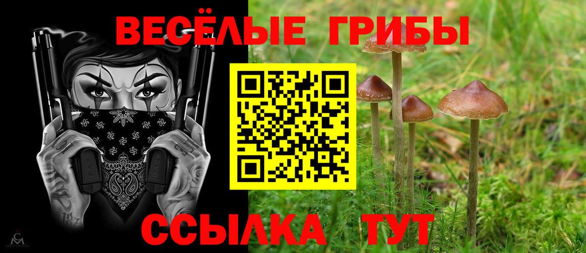 Псилоцибиновые грибы мухоморы Наро-Фоминск
